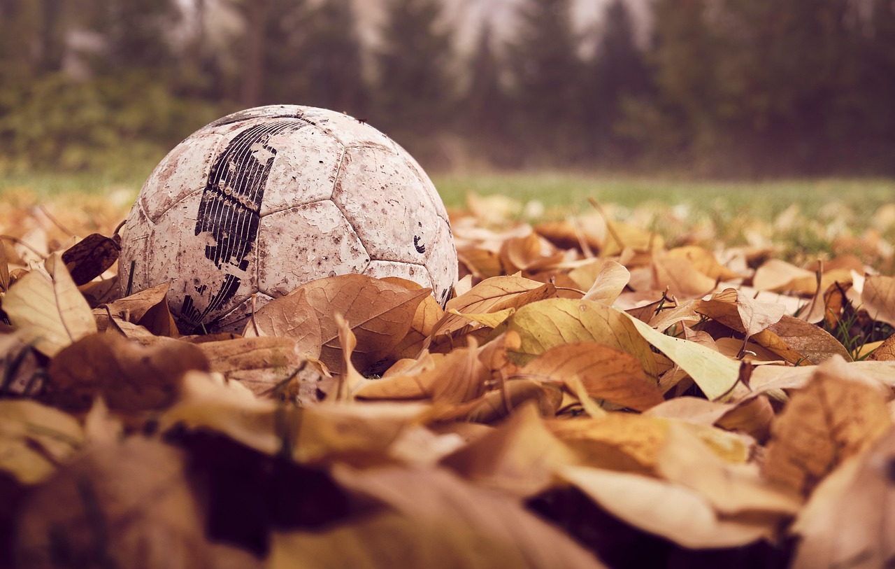 Fk_Zalgiris_futbolas