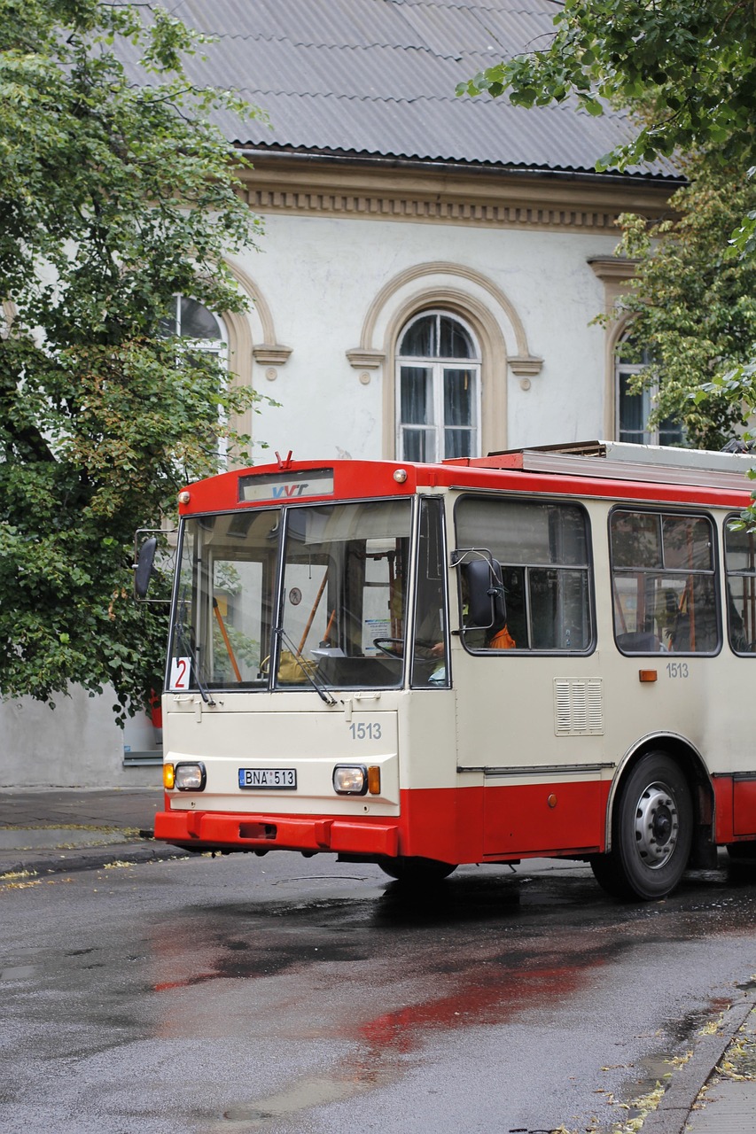 Kelione_autobusu_po_