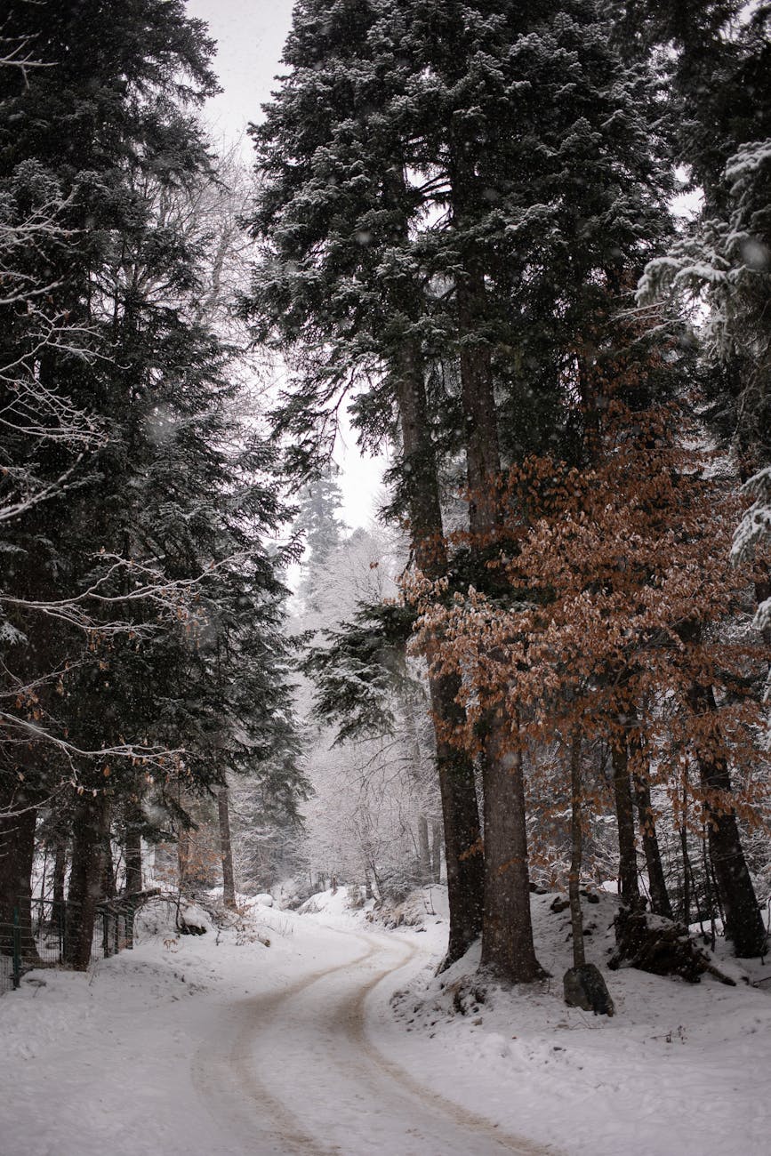 Orai_Vilniuje_sausi