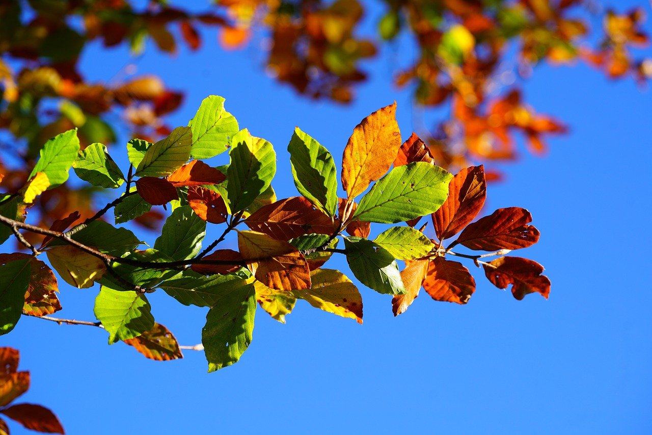 Rudens_spalvos_Vilni