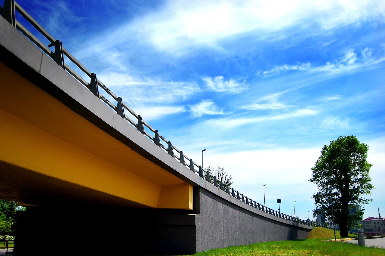 Vilniaus_gyventoju_s