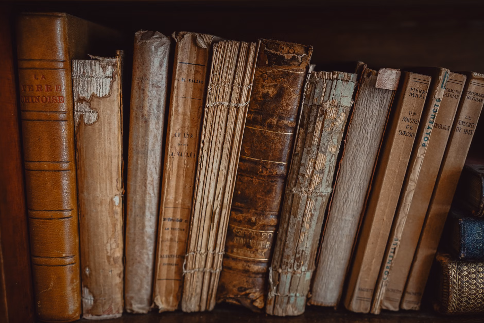 Reti „Mikės Pūkuotuko“ leidimai originalo kalba Martyno Mažvydo bibliotekoje: paroda veikia iki gruodžio 30 d.